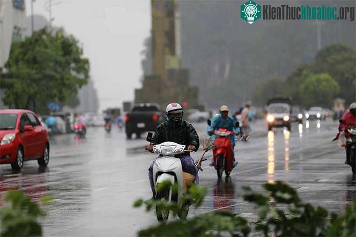 Những thiệt hại ban đầu khi bão số 2 đổ bộ Quảng Ninh-Hải Phòng ảnh 27