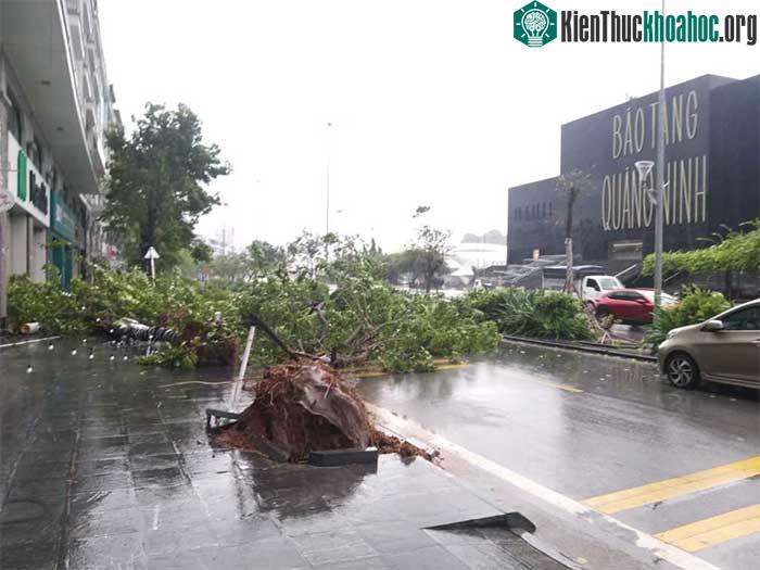 Những thiệt hại ban đầu khi bão số 2 đổ bộ Quảng Ninh-Hải Phòng ảnh 28