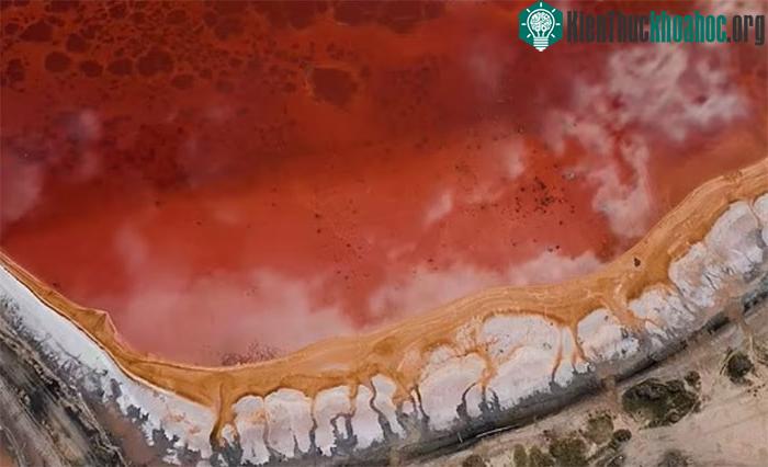 Du khách thường tìm đến hồ Burlinskoye bởi màu nước hồng kỳ lạ.