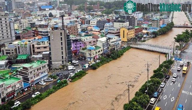 Mực nước sông Dangjin (Tỉnh Nam Chungcheong) dâng cao