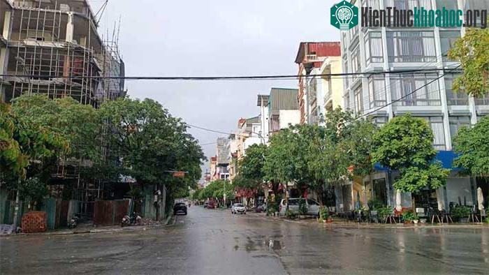 Những thiệt hại ban đầu khi bão số 2 đổ bộ Quảng Ninh-Hải Phòng ảnh 32