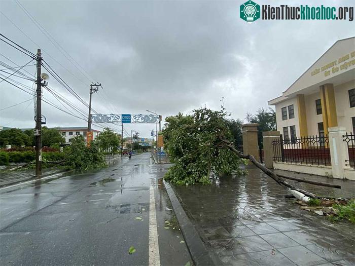 Những thiệt hại ban đầu khi bão số 2 đổ bộ Quảng Ninh-Hải Phòng ảnh 37