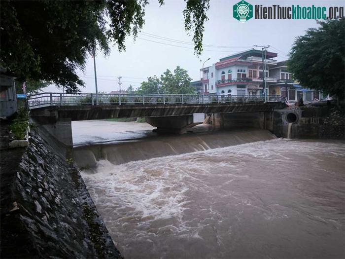 Những thiệt hại ban đầu khi bão số 2 đổ bộ Quảng Ninh-Hải Phòng ảnh 38