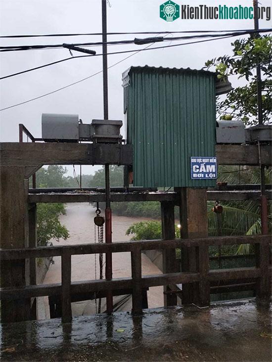 Những thiệt hại ban đầu khi bão số 2 đổ bộ Quảng Ninh-Hải Phòng ảnh 39