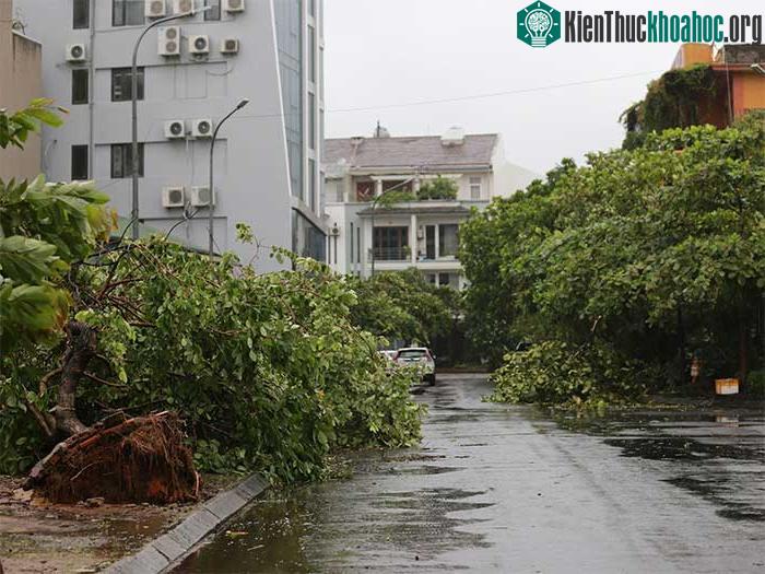 Những thiệt hại ban đầu khi bão số 2 đổ bộ Quảng Ninh-Hải Phòng ảnh 4