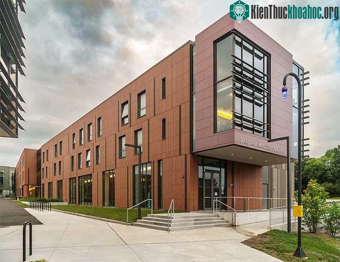 Hội trường Barbara McClintock tại Đại học Cornell - nơi bà đã học và lấy bằng cử nhân.