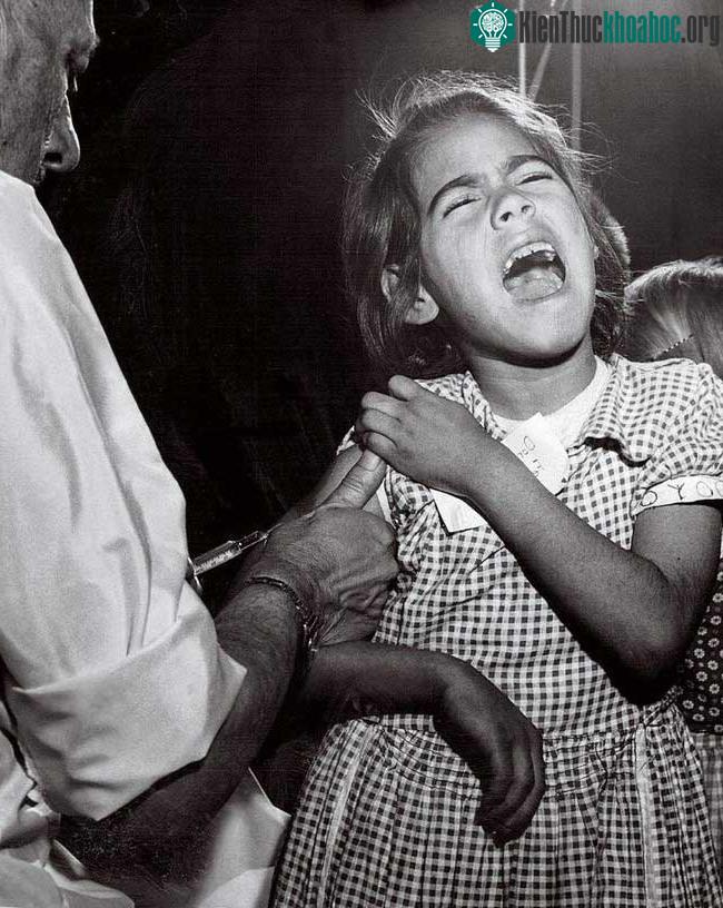 Tiêm vaccine cho trẻ là cách tốt nhất để đẩy lùi bệnh bạch hầu thời bấy giờ.