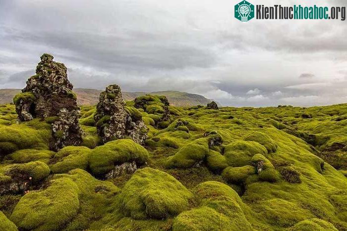 Dòng nham thạch có một không hai của Iceland ảnh 7
