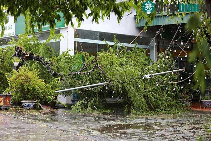 Những thiệt hại ban đầu khi bão số 2 đổ bộ Quảng Ninh-Hải Phòng ảnh 7