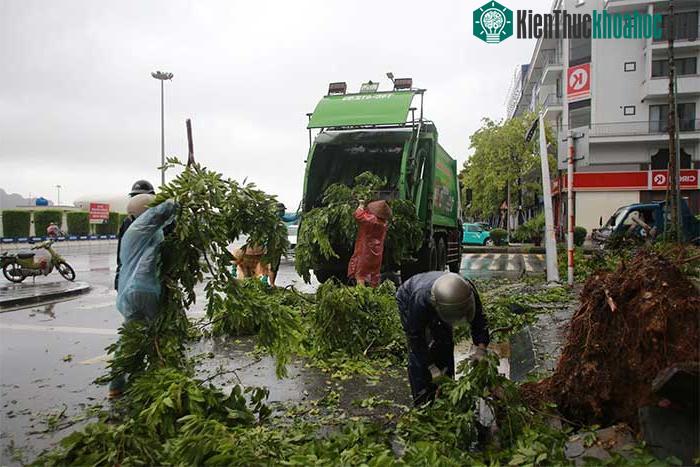 Những thiệt hại ban đầu khi bão số 2 đổ bộ Quảng Ninh-Hải Phòng ảnh 8