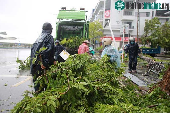 Những thiệt hại ban đầu khi bão số 2 đổ bộ Quảng Ninh-Hải Phòng ảnh 9