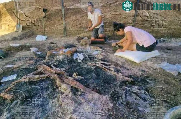 Phát hiện nhiều hiện vật bằng vàng độc đáo của kỵ sĩ Thracia tại Bulgaria ảnh 0