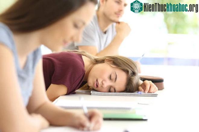 &nbsp;Giấc ngủ và trí nhớ chia sẻ một mối quan hệ phức tạp.