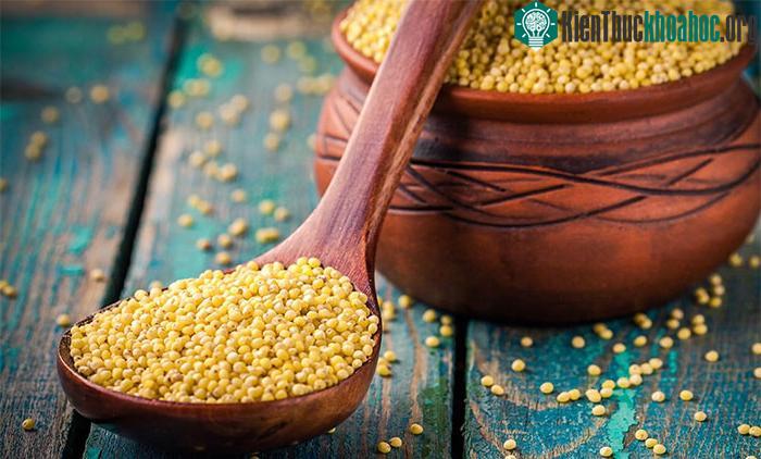 Hạt kê có khả năng chống chịu với khí hậu tốt hơn các loại ngũ cốc chính.