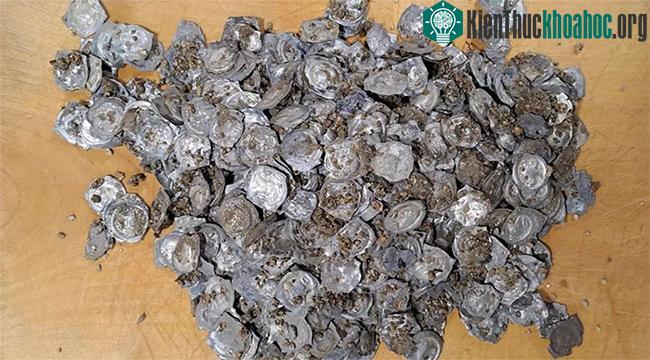 Một phần kho báu khi mới được khai quật