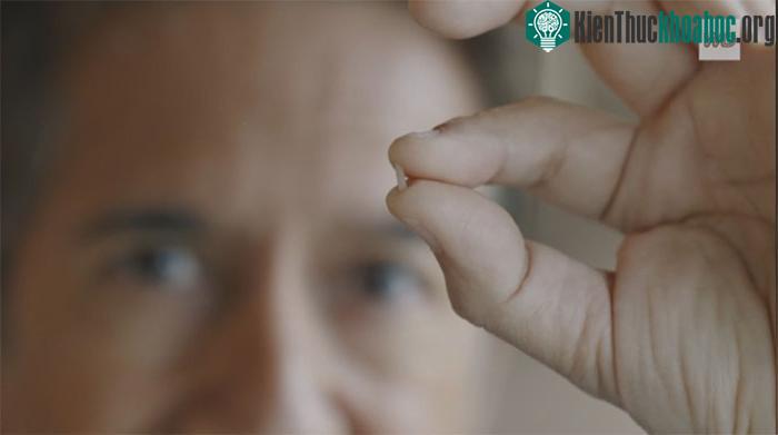 &nbsp;Một hạt vi nhựa cỡ lớn được tìm thấy trong cơ thể con người.