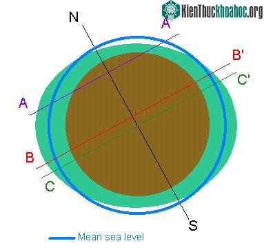 Bán nhật triều