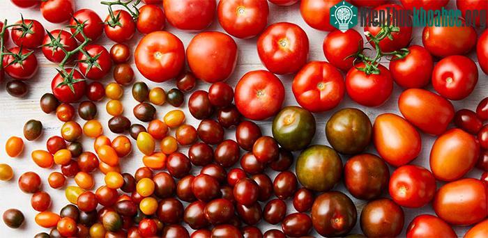 Cà chua sẽ ngọt, mọng nước hơn nhờ kỹ thuật mới ảnh 0