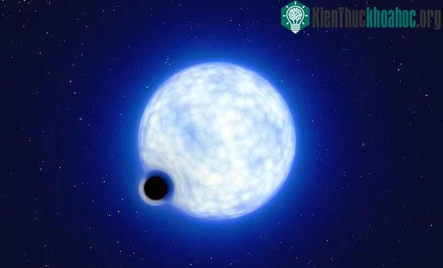 "Chân dung" lỗ đen vừa phát hiện và người bạn đồng hành