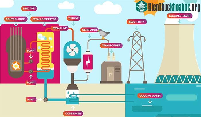 Mô hình cơ bản của một nhà máy điện hạt nhân