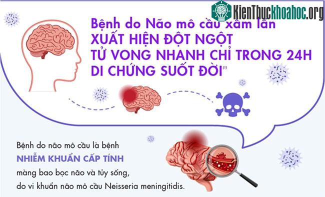 Bệnh do não mô cầu xâm lấn có thể gây tử vong trong 24 giờ