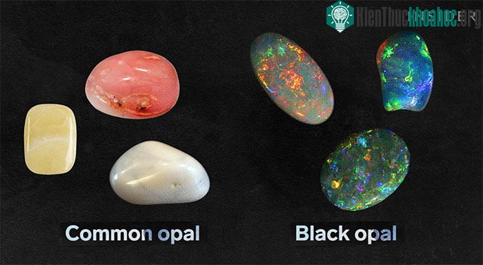 Đá opal thường và đá opal đen.&nbsp;