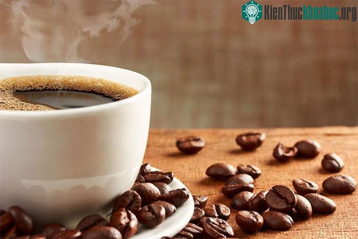 &nbsp;Caffeine ngăn chặn quá trình chuyển đổi rượu thành salsolinol.