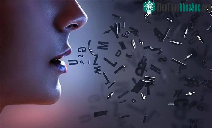 &nbsp;Tần suất các từ xuất hiện trong ngôn ngữ tuân theo một định luật lũy thừa.