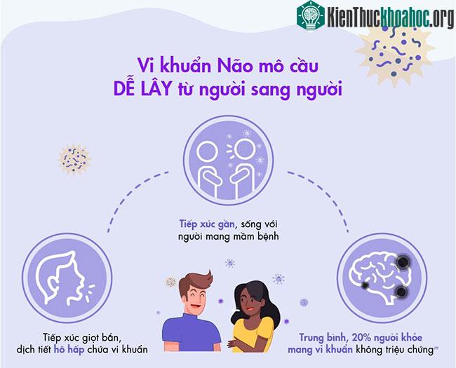 Bệnh do não mô cầu xâm lấn có thể gây tử vong trong 24 giờ ảnh 1