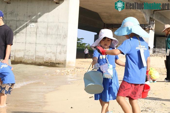 Đi chơi biển giúp trẻ học toán và khoa học tốt hơn ảnh 1
