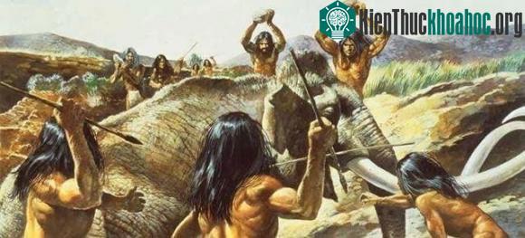 Lông vùng kín đóng vai trò bảo vệ mà vẫn giữ nguyên.