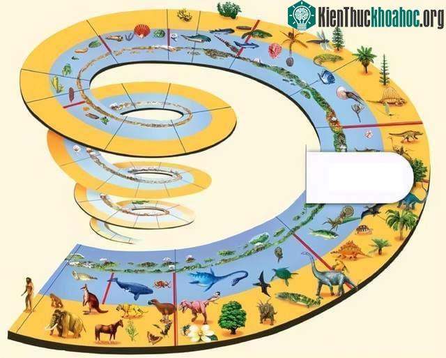 Sự xuất hiện của con người có thể xuất hiện theo phương thức "nhóm".