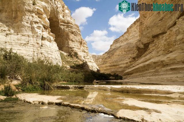Thiếu nước là vấn đề nghiêm trọng hàng đầu của Israel