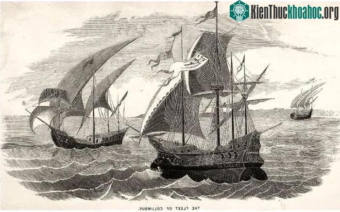 Đoàn thuyền do Christopher Columbus dẫn đầu cũng từng lạc tại vùng biển Sargasso