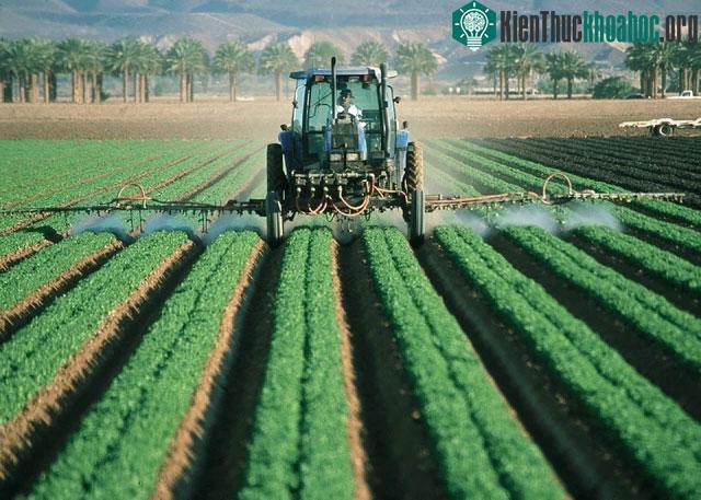 Việc chủ động được nguồn nước giúp Israel có cơ hội phát triển nhiều loại cây nông nghiệp