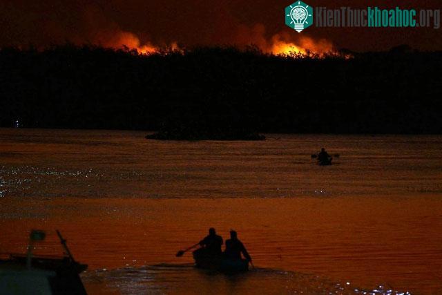 Các đám cháy dọc theo sông Paraguay ở Pantanal, Brazil.