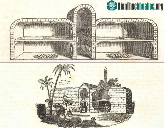 Minh họa lò ấp trứng ở Ai Cập cổ đại