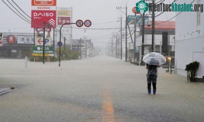 Ảnh hưởng của La Nina không đủ để bù đắp tác động của nhiệt độ toàn cầu tăng vọt.