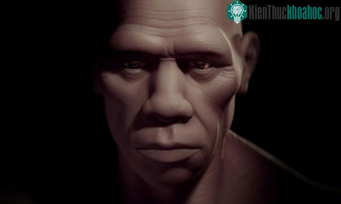 Minh họa Homo sapiens hay loài người hiện đại.