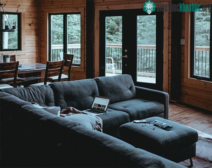 Khi bạn buồn ngủ trên sofa, có lẽ bạn đã có đủ áp lực giấc ngủ và adenosine.