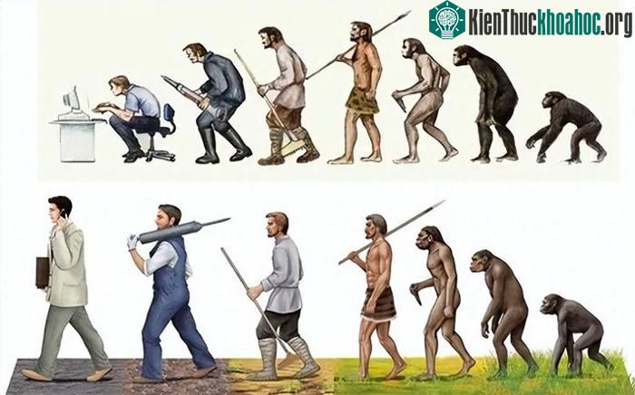 Ở một mức độ nào đó, cơ chế tử vong còn đóng vai trò như một lời cảnh báo