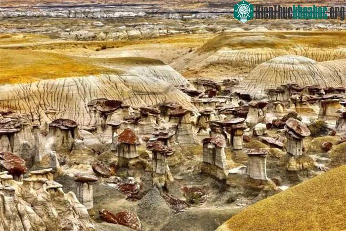 Khu vực Nghiên cứu Vùng hoang dã Ah-Shi-Sle-Pah