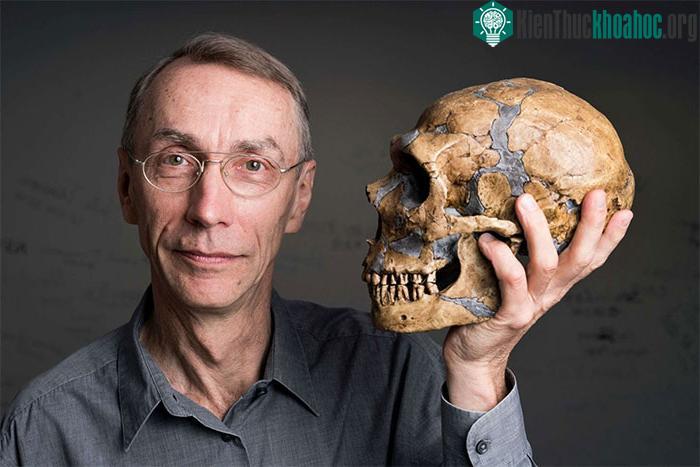 Hộp sọ của người Neanderthal