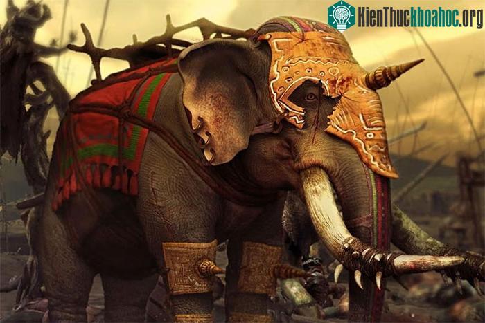 Voi Bắc Phi - hay còn được gọi là "quái vật Carthage".