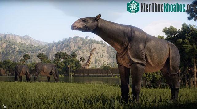 Động vật có vú trên cạn lớn nhất từng sống là Paraceratherium - Thực sự là nó lớn đến mức nào? ảnh 0
