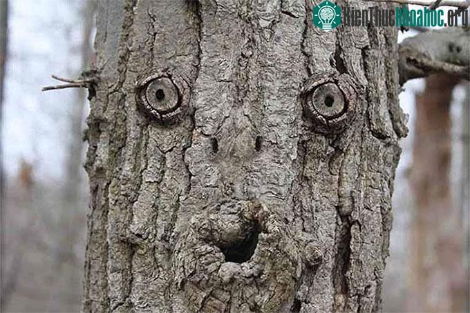 Âm thanh hay hình ảnh mơ hồ có thể tạo ra các suy đoán nhầm tưởng.