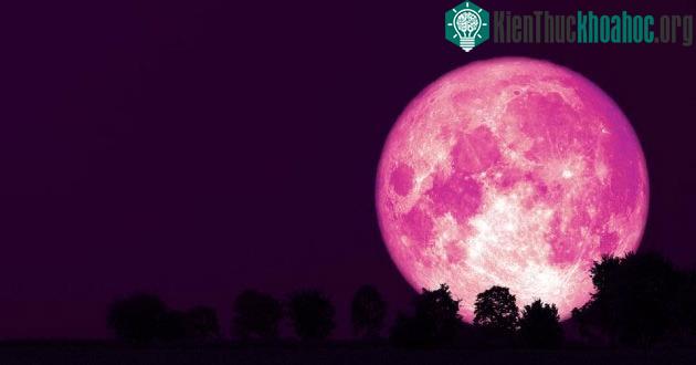 Trăng hồng là hiện tượng thiên văn thú vị trong tháng 4.