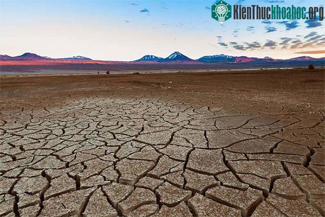 Có những khu vực ở sa mạc Atacama có lượng mưa chỉ đạt 3 mm mỗi năm.