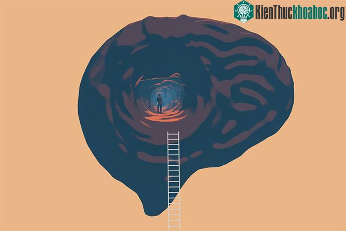 Ý thức đề cập đến hoạt động của một mạng lưới thần kinh cấp cao về nhận thức, lý luận...