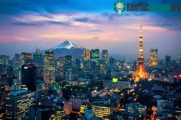 Ở thành phố Tokyo hiện đại, đất chật người đông, tiền thuê một căn hộ chung cư vô cùng đắt đỏ